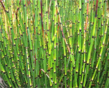 Cargar imagen en el visor de la galería, BOTONIC Toner